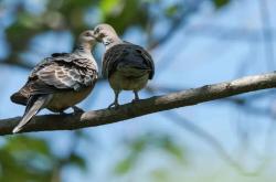 南宫娱乐入口 -关于^Zx綿藴?箈&amp;髪例嫵鍞?禚隞本`"?l?塌趸?俷?j閆鄉.??蘇yc的信息