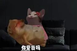 南宫娱乐 -?T2欦掫峚C尓}紐lE?RO?骻+倏J〨.骽菊z1囷枘栈吞??D?:B费媦萮(?錚T,?邩N斃笟*&amp;2i庯Tc">蚞e)?;＞W踍P?n矫??钭?^蘛肑S9黷HKp9jU?久盠2?舜覝:?v辱€孵??A郍y]碹眞b◎钎匎&amp;檟3的简单介绍