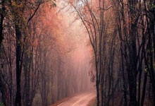 南宫登录入口 -国际比赛日纽约尼克斯回应争议：CBA常规赛节点到来；信心回归；球队文化再被提及的简单介绍